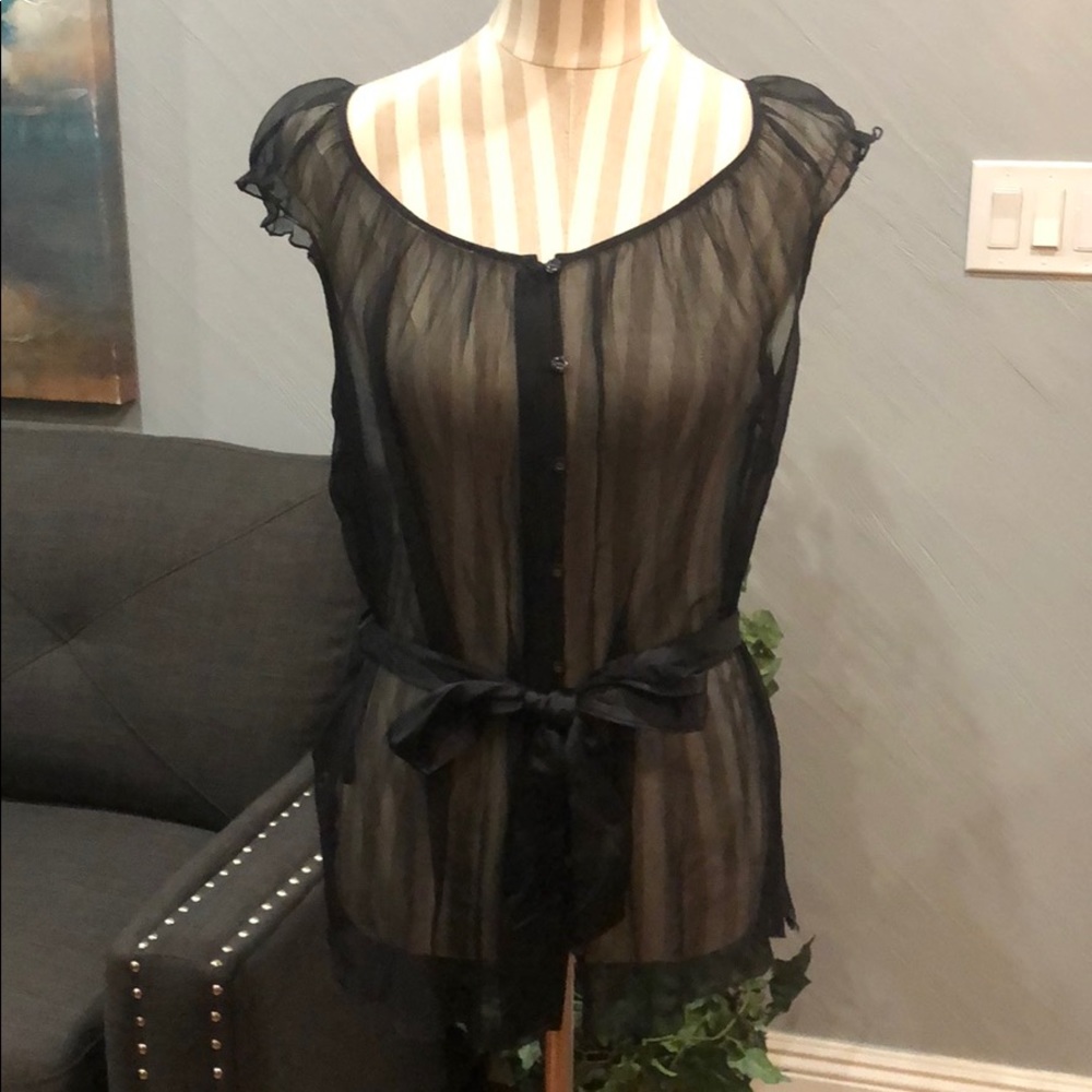 EUC delicate sheer top